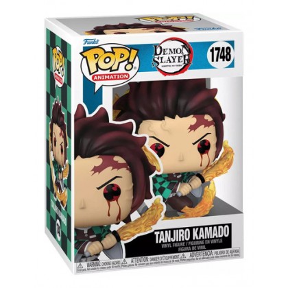 Demon Slayer Tanjiro Kamado 1748